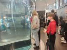 Woda, sport i film