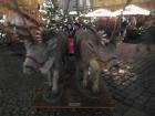 Wycieczka do Wrocławia_10